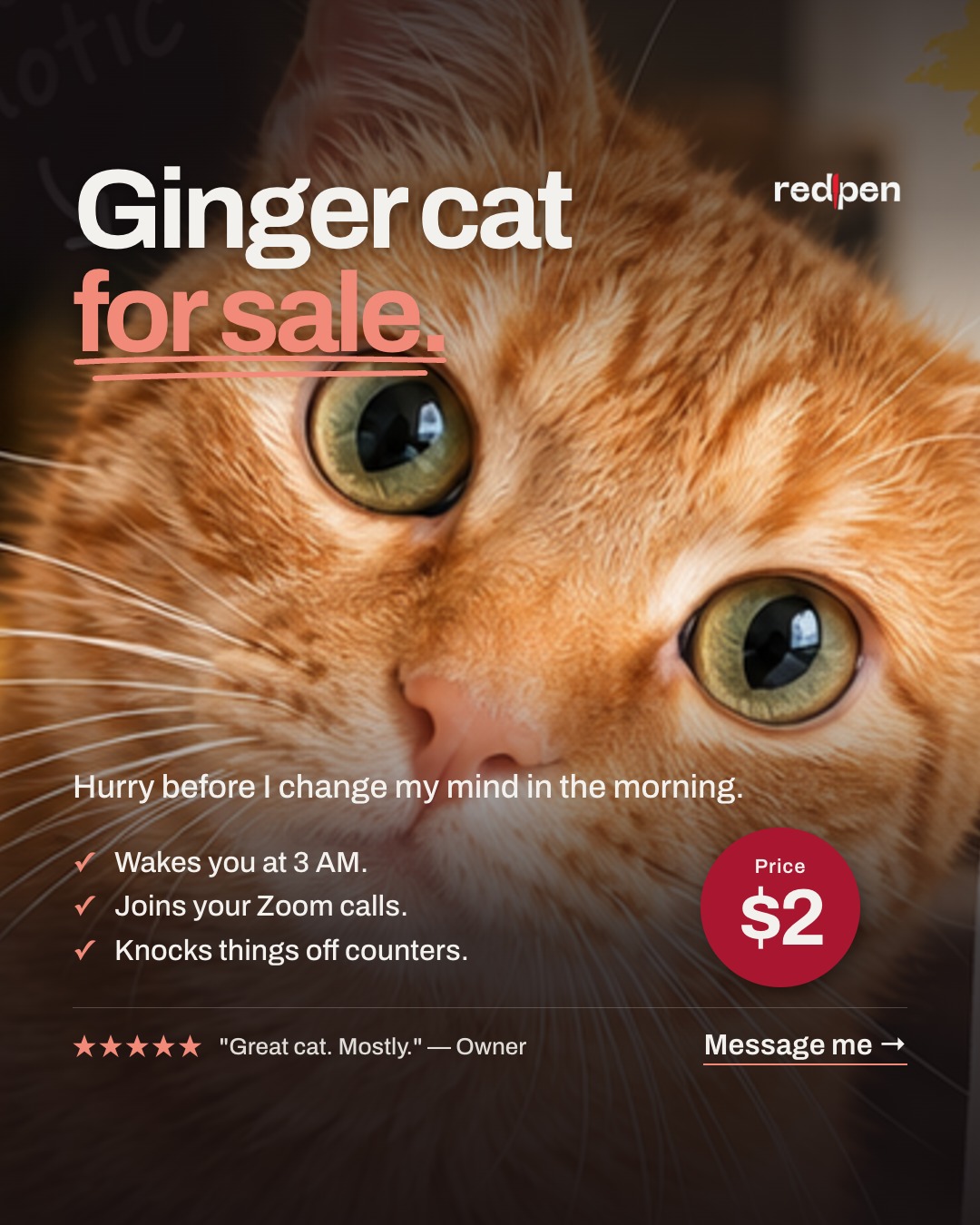 AI-made ad with a logo, brand colors, a short headline, and three points.